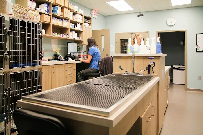 Town Center Animal Clinic 4