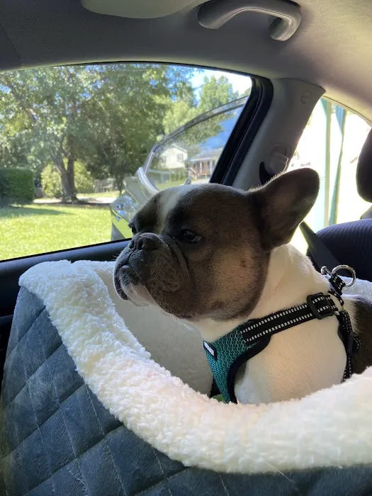 Suwanee Animal Hospital 12