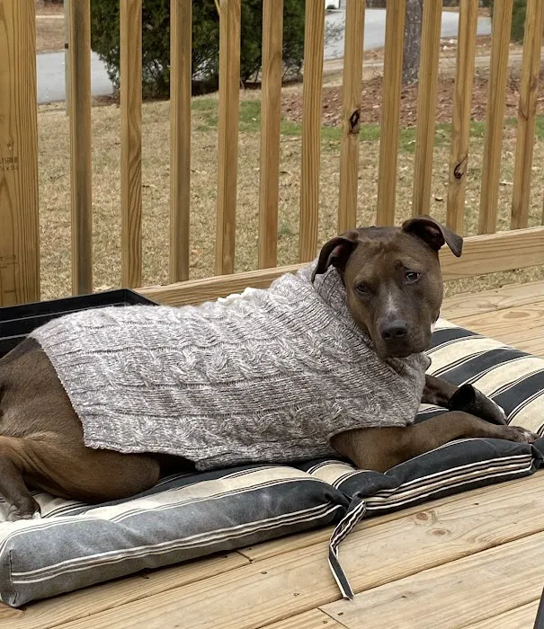 Suwanee Animal Hospital 12
