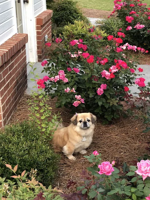 Polk Veterinary Care, LLC 2