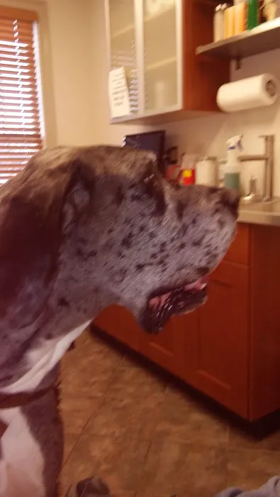 Polk Veterinary Care, LLC 3