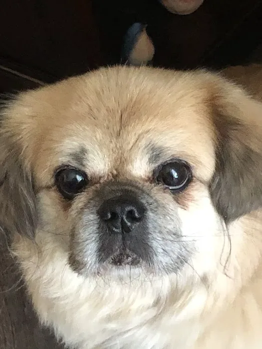 Polk Veterinary Care, LLC 1