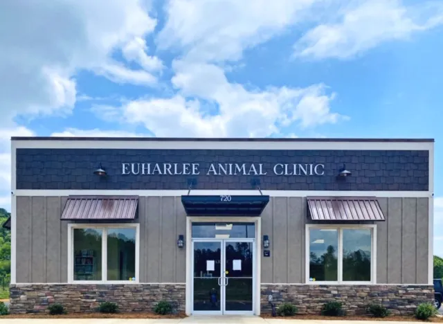 Euharlee Animal Clinic 1