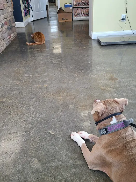 Euharlee Animal Clinic 5