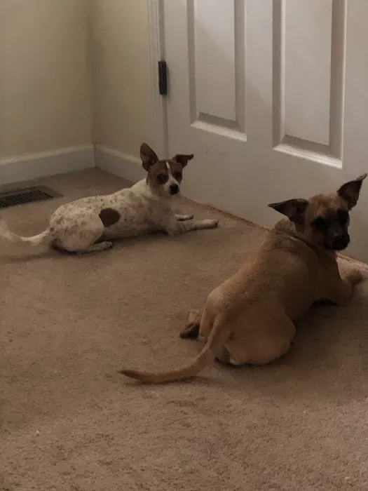 Euharlee Animal Clinic 7