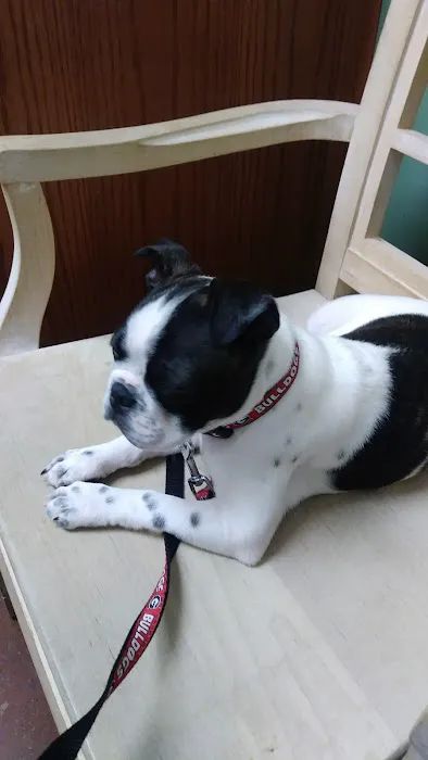 Euharlee Animal Clinic 10
