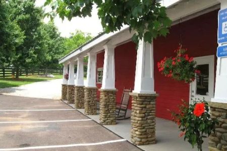 Persimmon Creek Animal Hospital