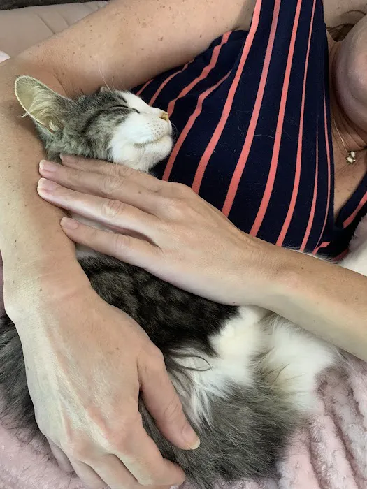 Free Home Animal Hospital 12