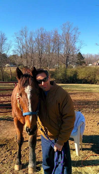 Equine Medical Associates 12