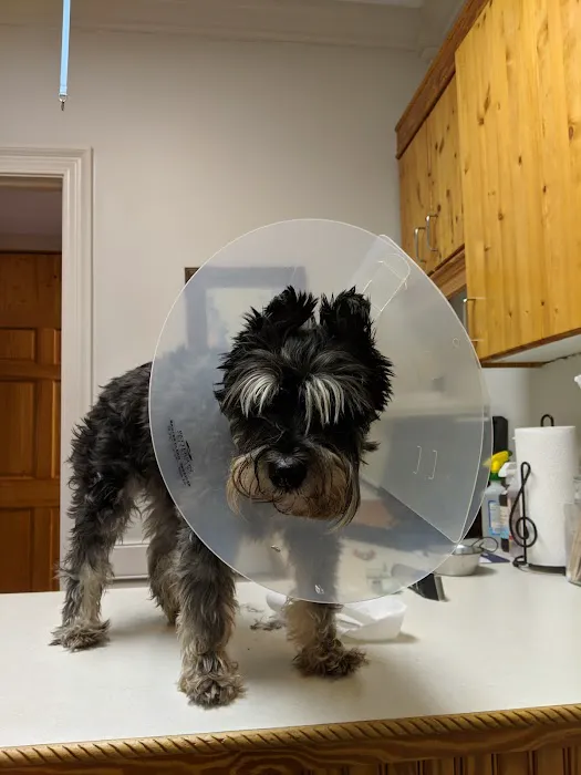 Union Hill Animal Hospital 12
