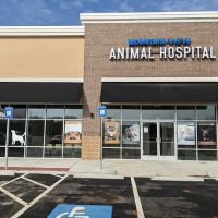 Mountain View Animal Hospital ico