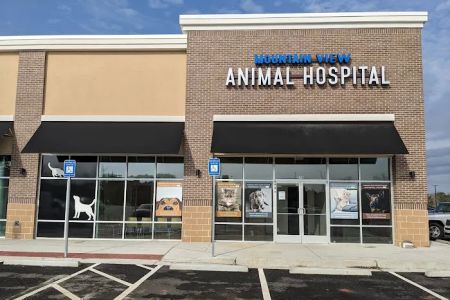 Mountain View Animal Hospital