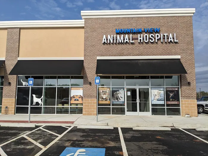 Mountain View Animal Hospital 12