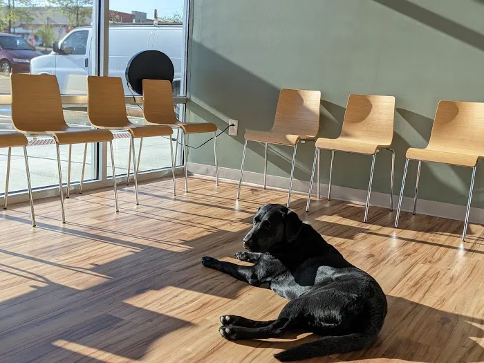 Mountain View Animal Hospital 12