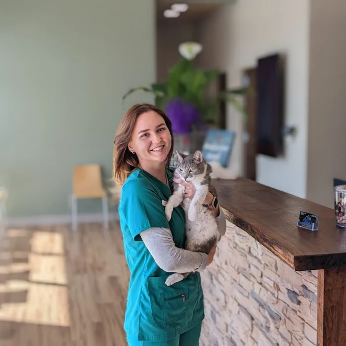 Mountain View Animal Hospital 12