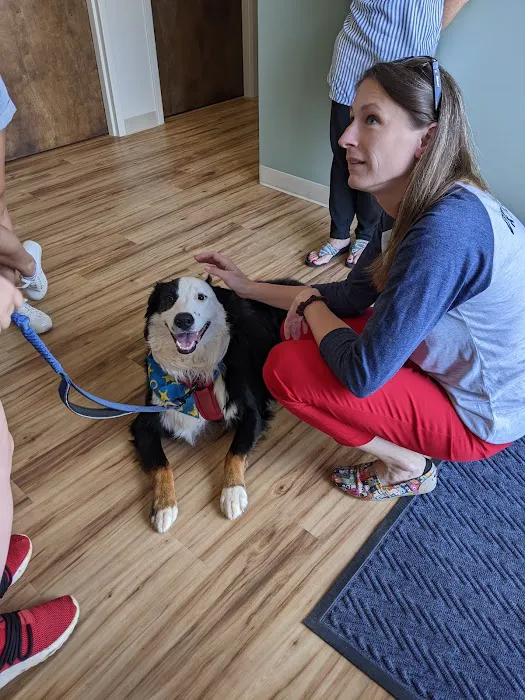 Mountain View Animal Hospital 12