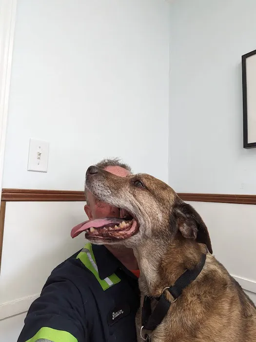 Ball Ground Animal Hospital 9
