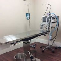 Tamberly Animal Hospital ico