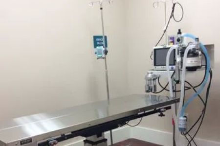 Tamberly Animal Hospital