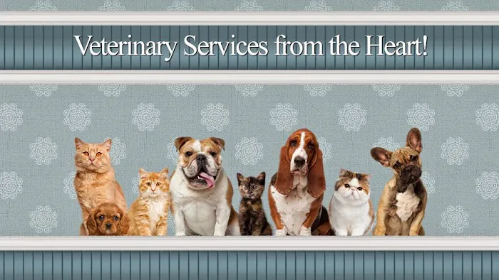Tamberly Animal Hospital 12