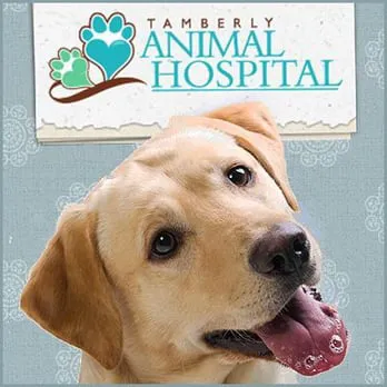 Tamberly Animal Hospital 12