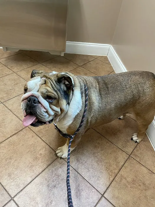 Little River Animal Hospital 3