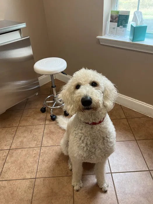 Little River Animal Hospital 4