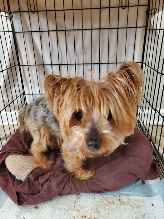 Banfield Pet Hospital 1