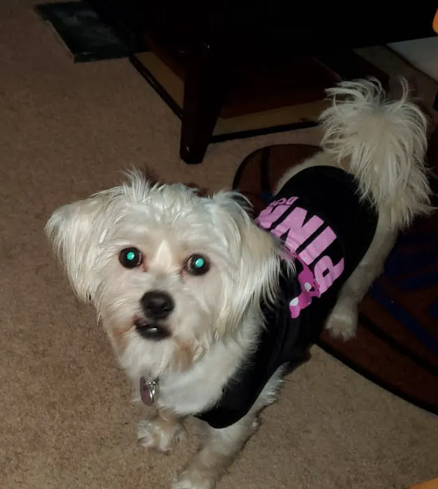 Banfield Pet Hospital 7
