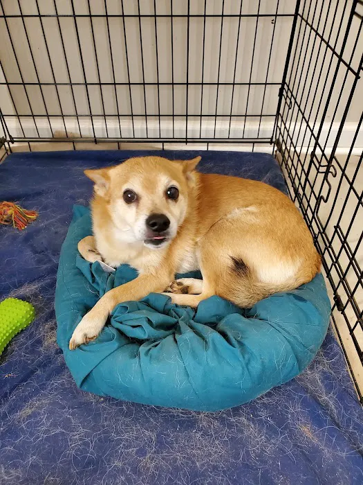 Banfield Pet Hospital 5