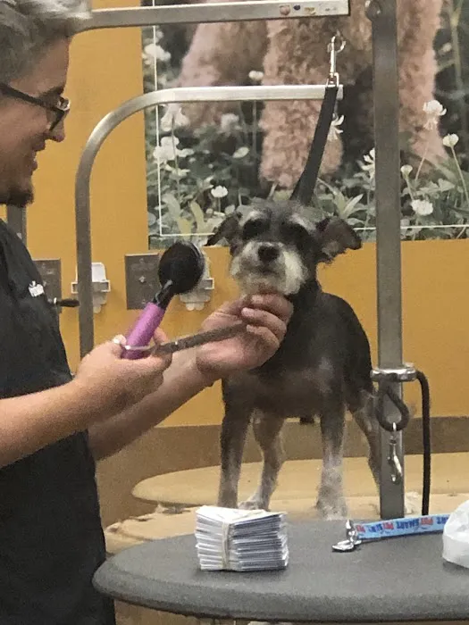 Banfield Pet Hospital 4