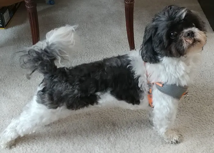 Banfield Pet Hospital 9