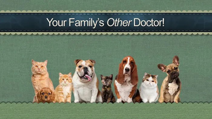 Dogwood Animal Hospital 1