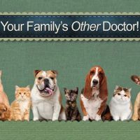 Dogwood Animal Hospital ico