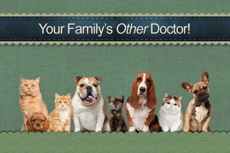 Dogwood Animal Hospital