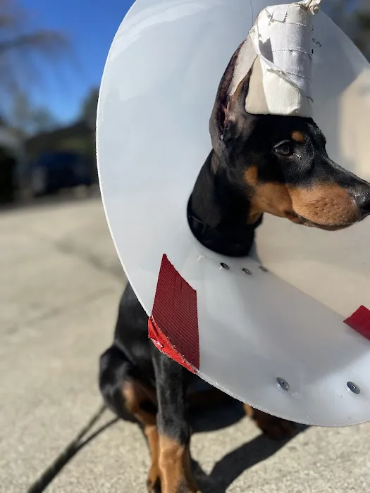 Dogwood Animal Hospital 7