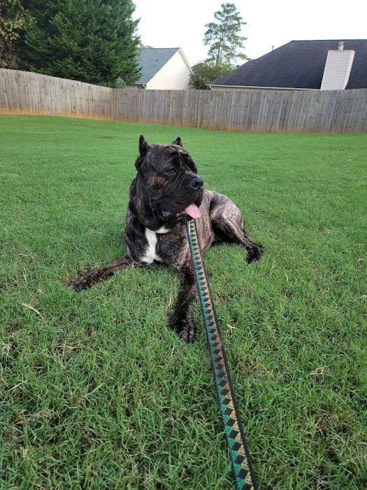 Dogwood Animal Hospital 8