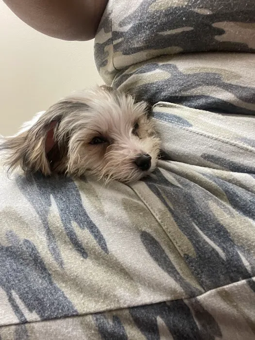 Dogwood Animal Hospital 9