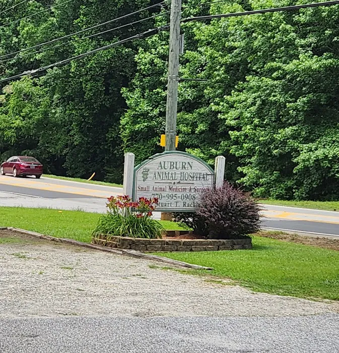 Auburn Animal Hospital 4