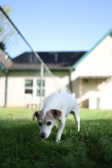 Auburn Animal Hospital 5