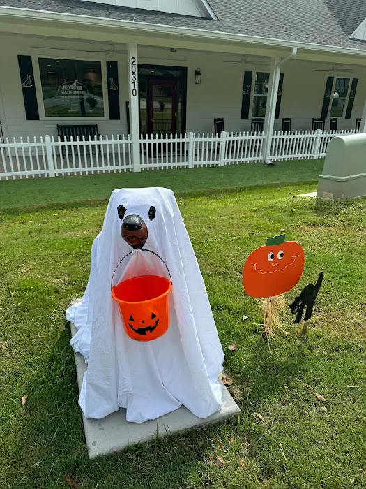 Main Street Veterinary Hospital 3