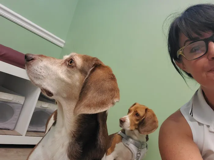 Main Street Veterinary Hospital 6