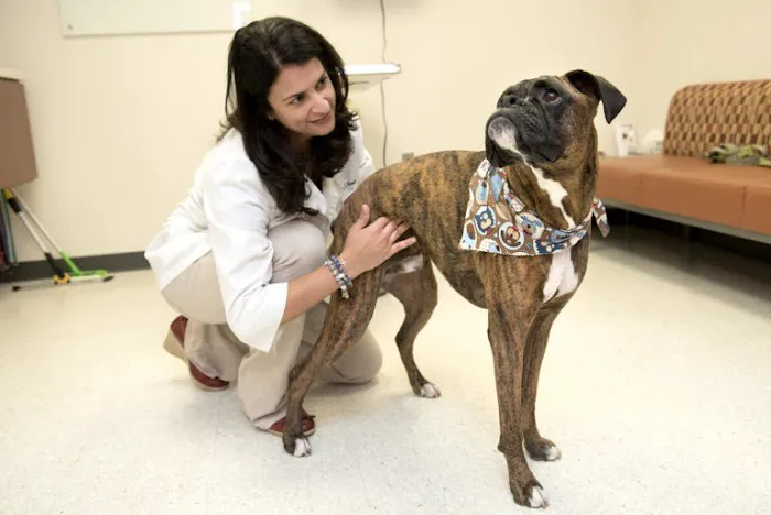 Dogwood Veterinary Surgical Care 6