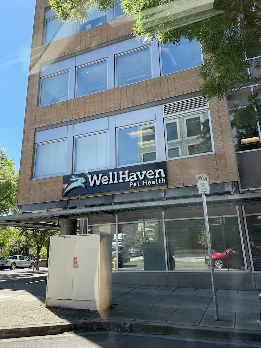 WellHaven Pet Health Corporate Campus 12