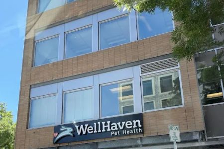 WellHaven Pet Health Corporate Campus
