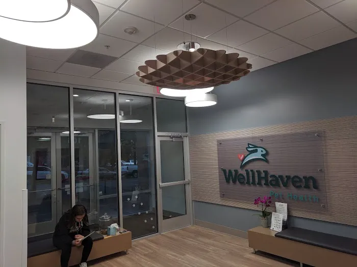 WellHaven Pet Health 12