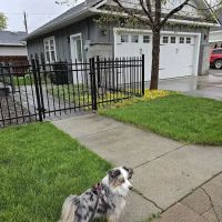 WellHaven Pet Health Hazel Dell ico