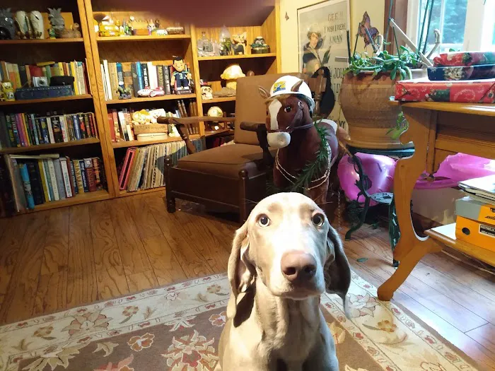 WellHaven Pet Health Hazel Dell 10