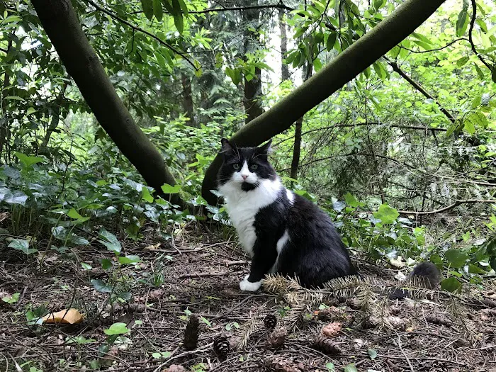 Evergreen Animal Hospital 8
