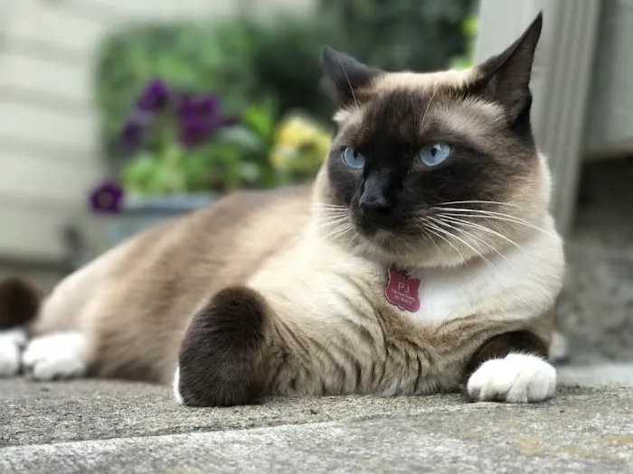 Evergreen Animal Hospital 5